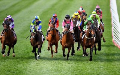 Dashboard Week – Day 1 – Melbourne Cup 2018