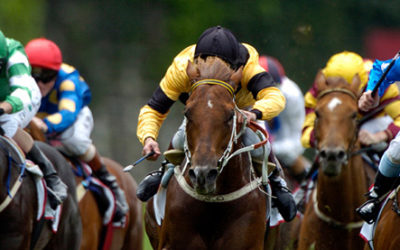 Dashboard Week Day 2 – Melbourne Cup Fever