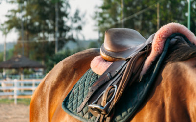 Dashboard Week Day 2 – Webscraping the Melbourne Cup