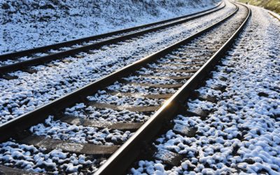 Dashboard Week Day 1 – NSW Train Facilities API