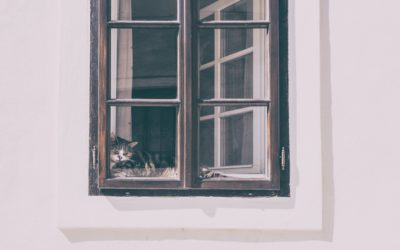 Window Functions for Comparison