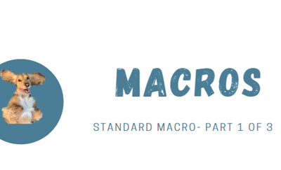 Alteryx Tip: What are Macros? And how are they useful to me? Part 1 of 3