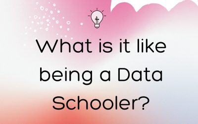 Top 3 Tips on How to Survive in the Data School