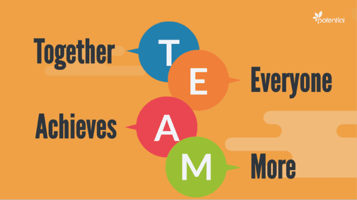 How to Work Effectively with Your Project Manager?