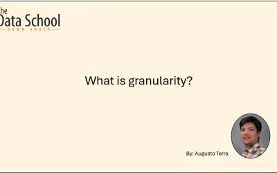 What is Granularity?
